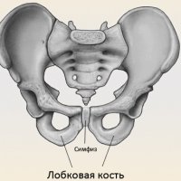 Известие о болезни отца: как это повлияло на меня