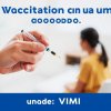 Прививка по ДМС: Как получить вакцинацию без лишних хлопот