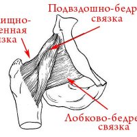 Определение вида подчинительной связи в словосочетании «здоровались издали»