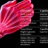 Как лечат артрит у людей с ВИЧ: практические подходы и осторожности
