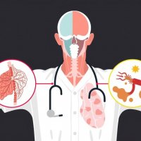Дифференциальная диагностика: как отличить заболевания и не ошибиться с диагнозом