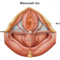 Что общего в рассказах «Родинка» и «Чужая кровь» и чем они различаются