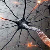 Симптомы и лечение острого и хронического неврита седалищного нерва