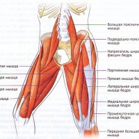 Заговори на новом языке: как выбрать язык для изучения