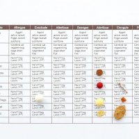 Атопическая панель аллергенов: что проверяют и как понять результат