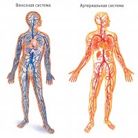 Как правильно пишется слово «полоскать» белье?