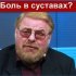 Израильский скорпион: тайны и удивительные факты о загадочном обитателе пустынь