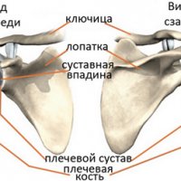 Кто должен здороваться первым: начальник или подчиненный?