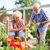 Безболезненный труд на участке: как сохранить суставы здоровыми в дачном сезоне