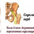 Знахарь жук: удивительные свойства и болезни, от которых он может помочь!