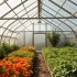 Пленка для теплиц: как выбрать, установить и ухаживать, чтобы урожай радовал год за годом