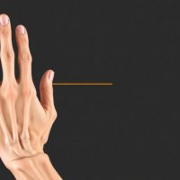 Как растянуть и укрепить короткие сгибатели пальцев при остеоартрозе межфаланговых суставов: простые и безопасные упражнения