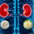 Как питаться, если одновременно артрит и хроническая болезнь почек: практическое руководство